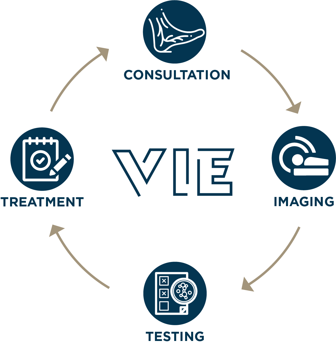 VIE-Approach-Graphic